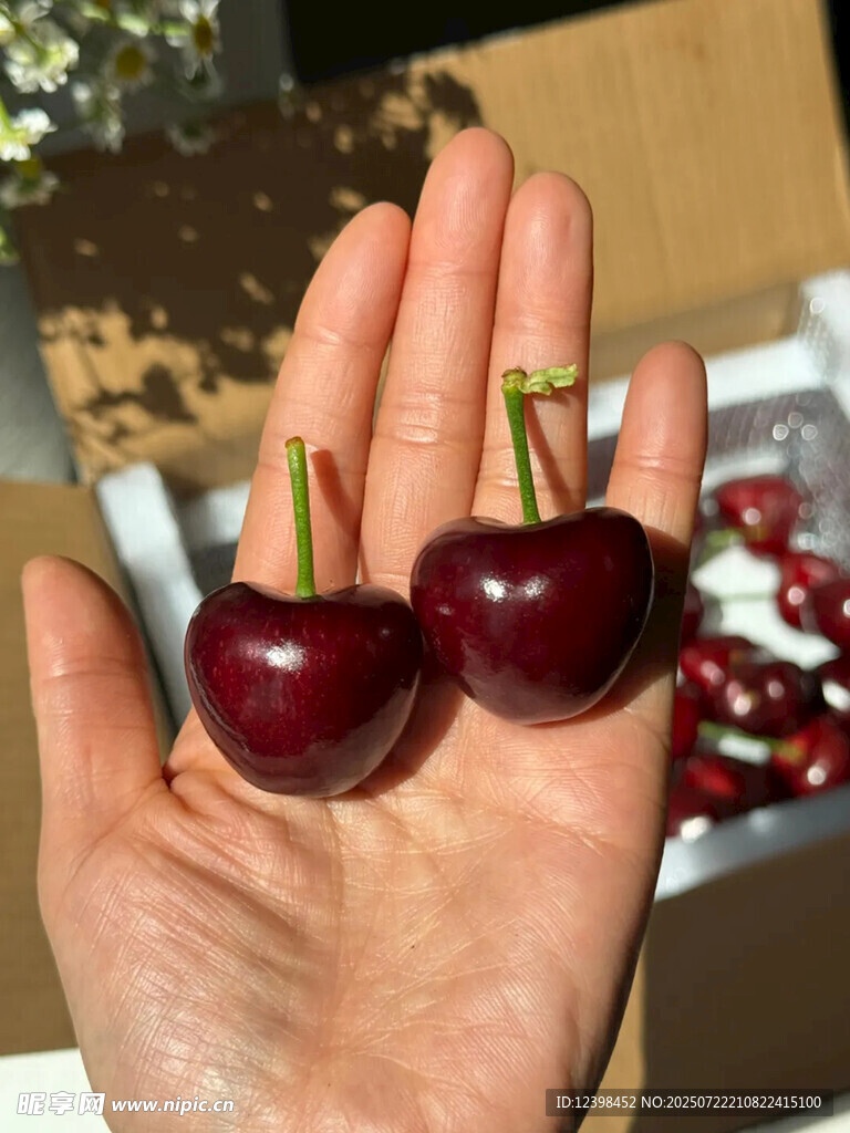 樱桃