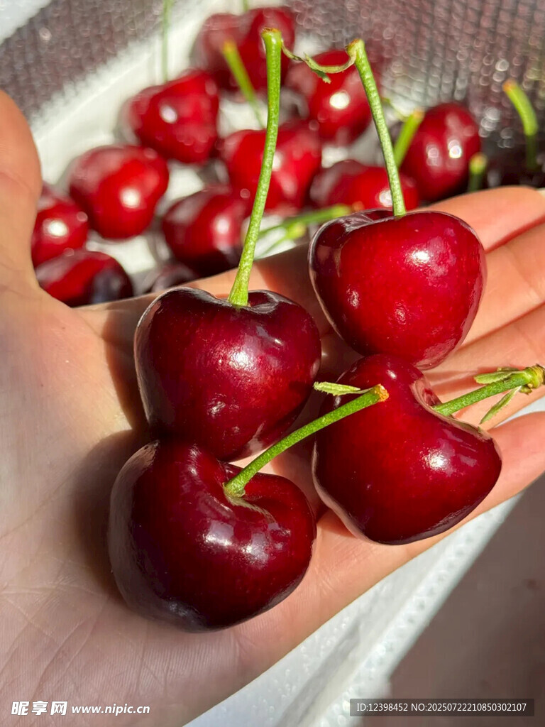 樱桃