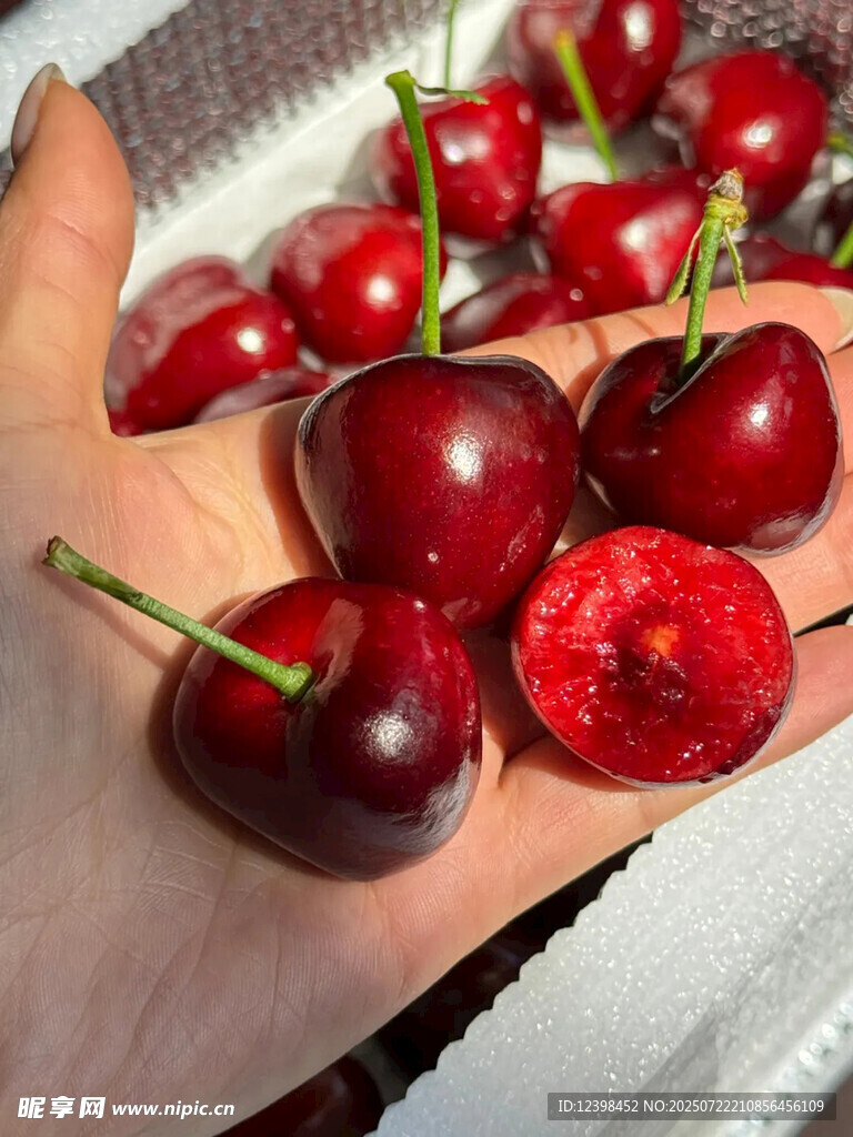 樱桃