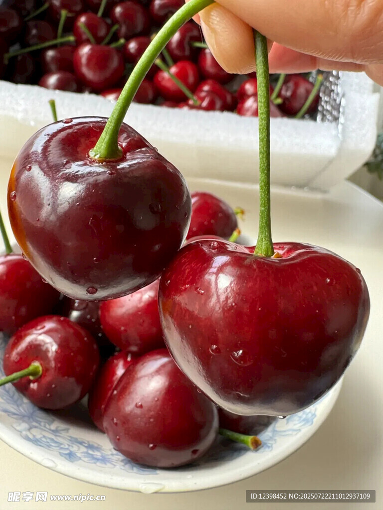 樱桃