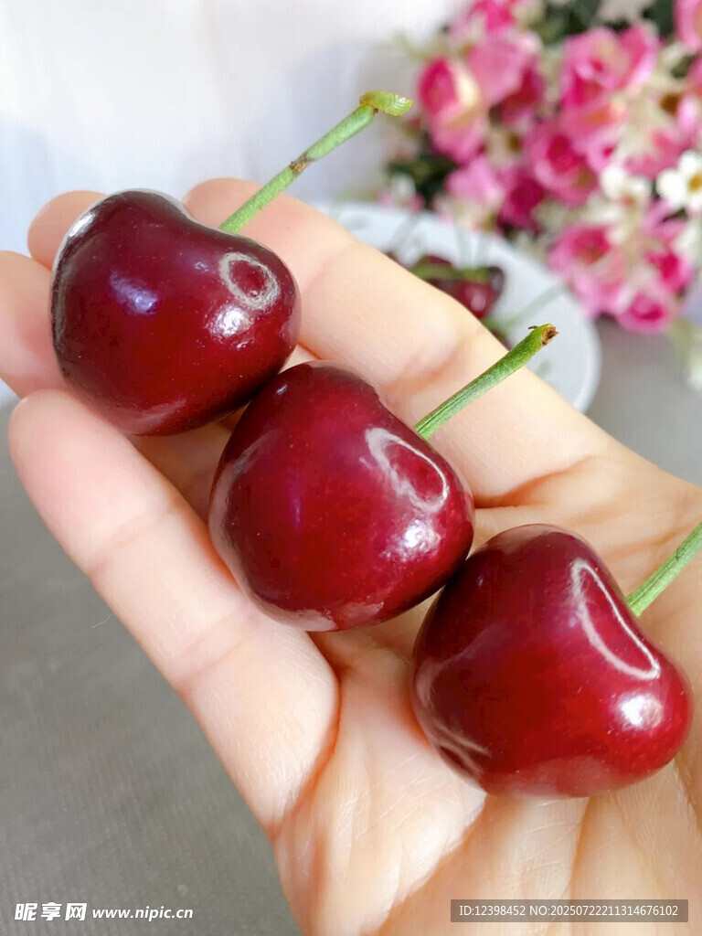 樱桃