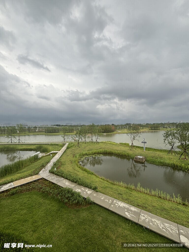 湿地风光