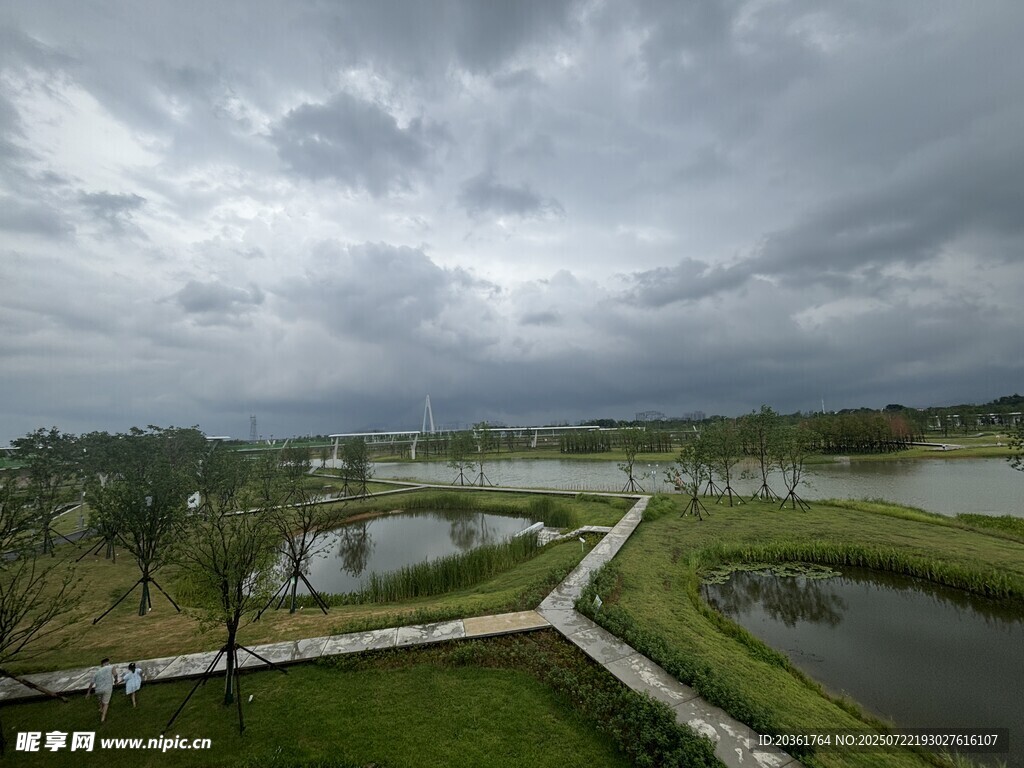 阴天中的湿地景观