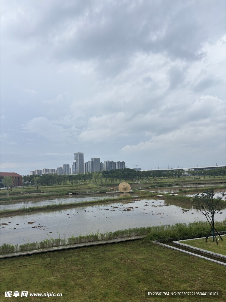 城郊湿地景观