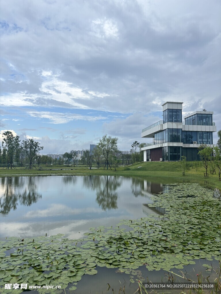 湖畔建筑与水生植物景观
