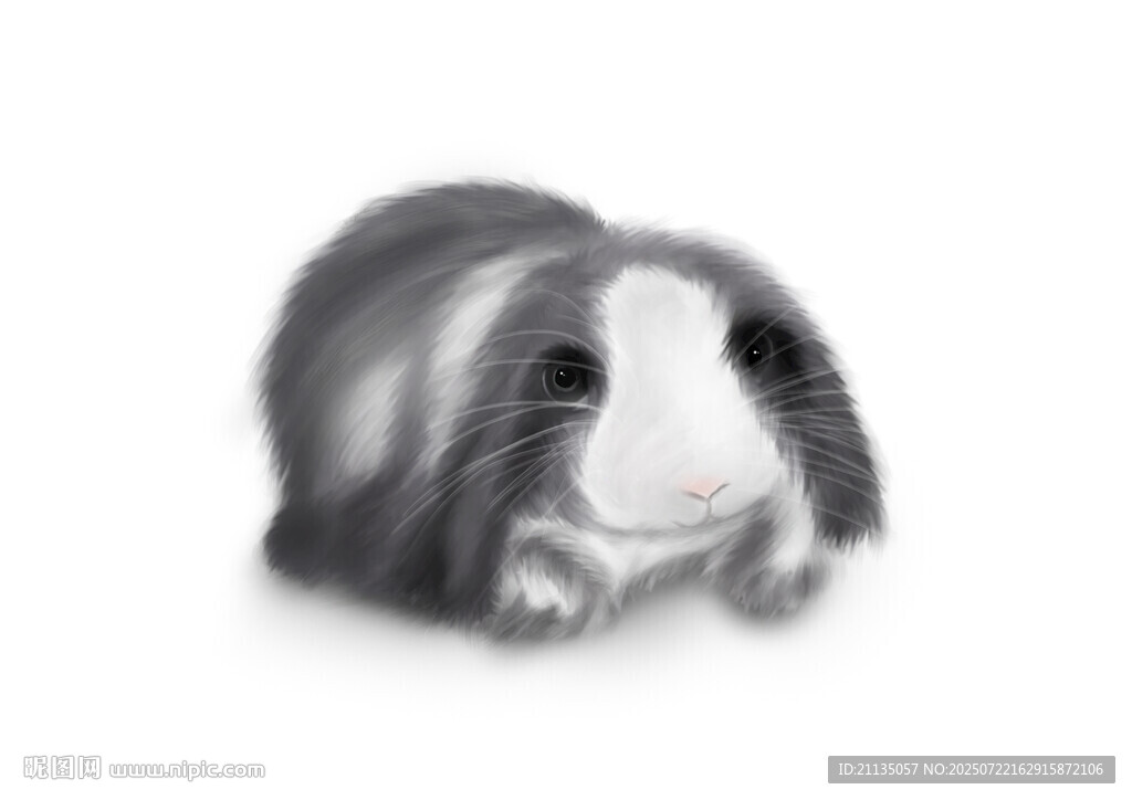 可爱小免子插画