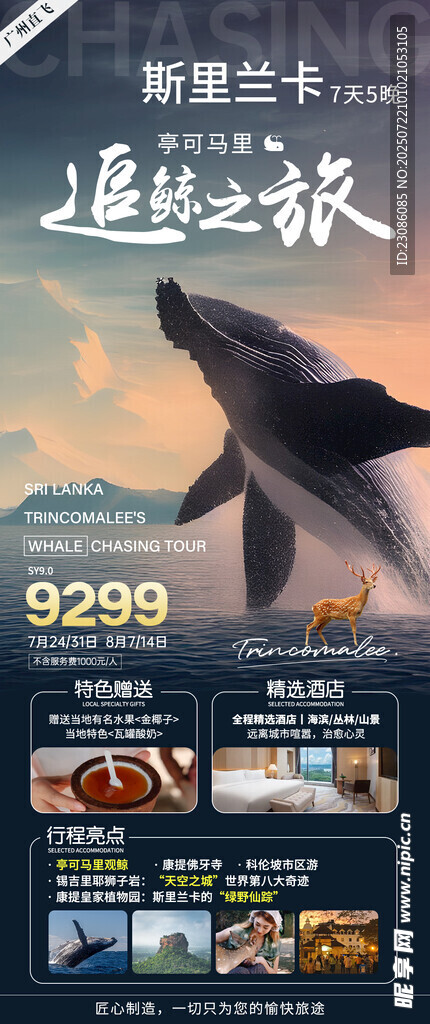 斯里兰卡 追鲸之旅