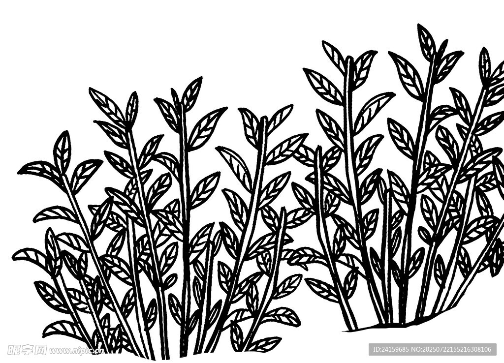 手绘植物图案  茶