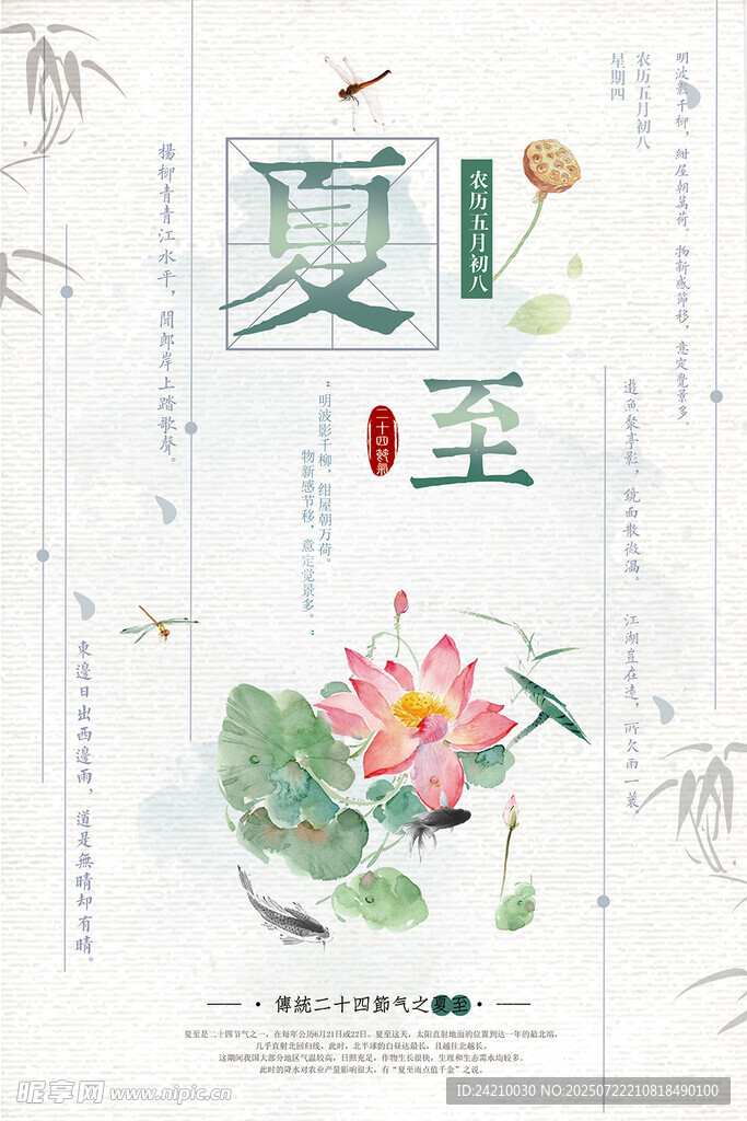 夏至节气荷花插画海报