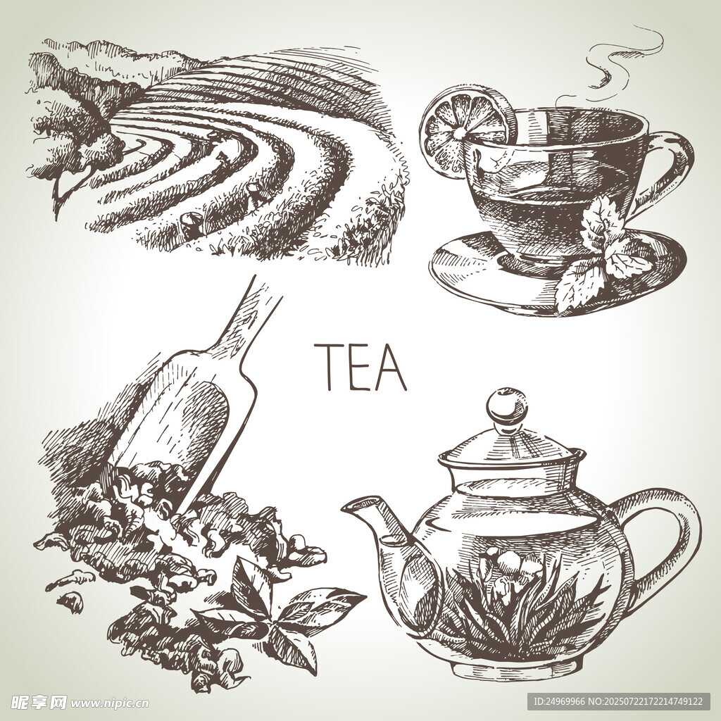 手绘茶饮元素插画
