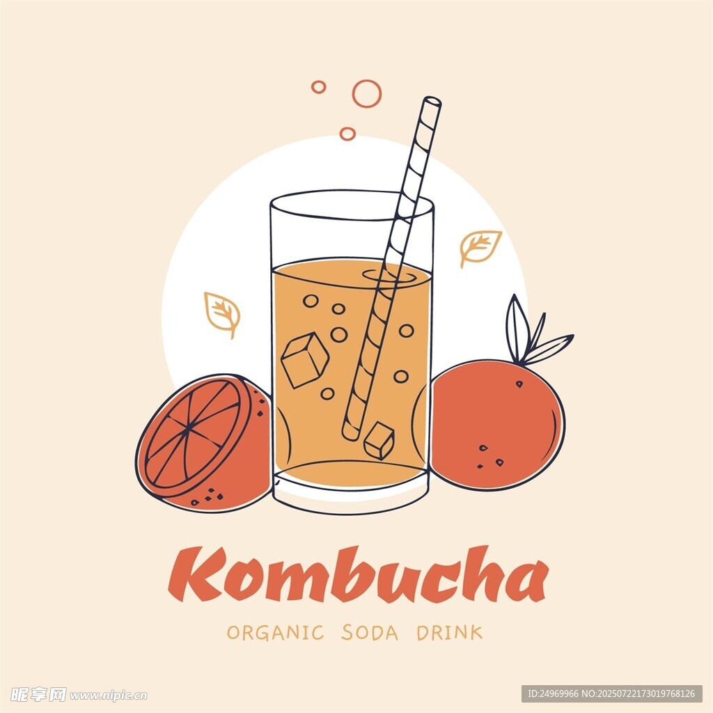 康普茶插画