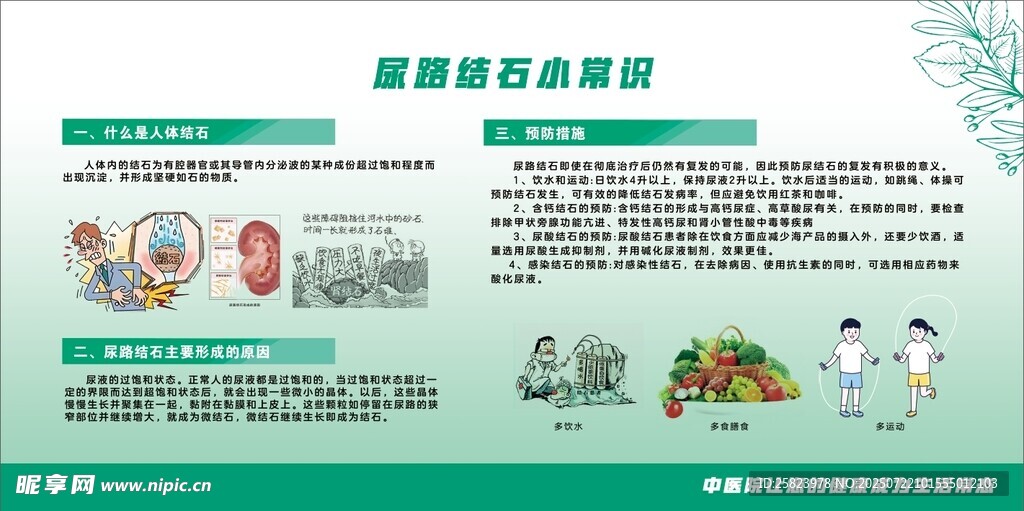 健康生活宣传页展示
