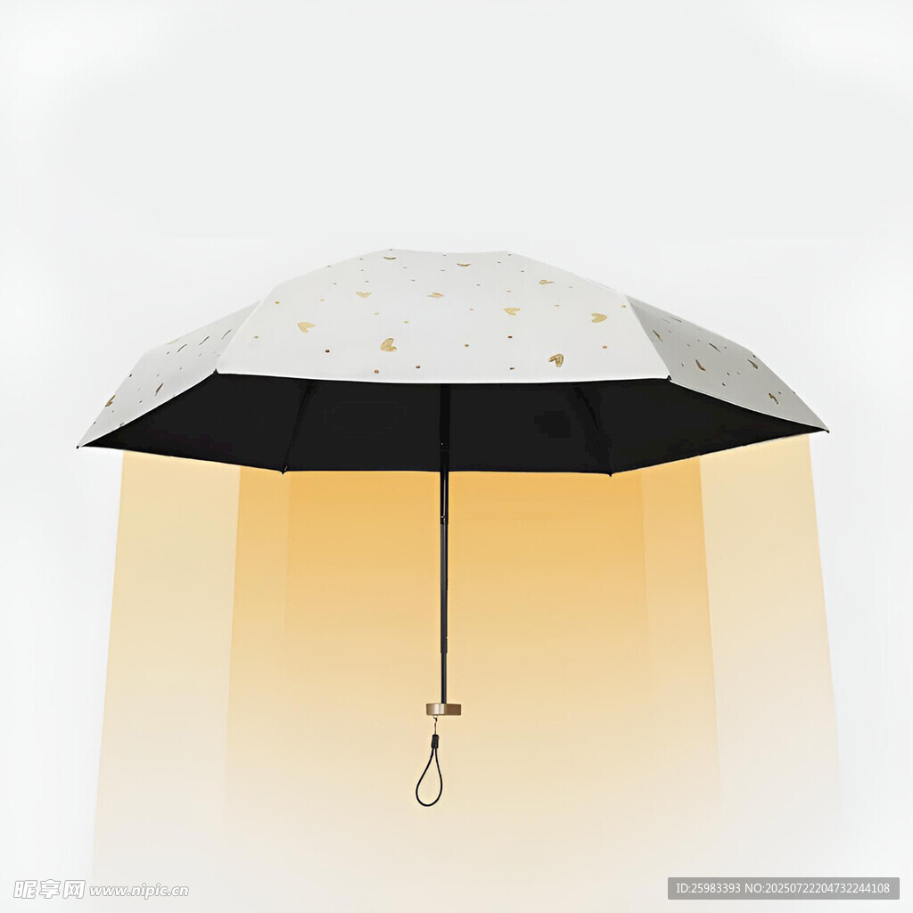 雨伞