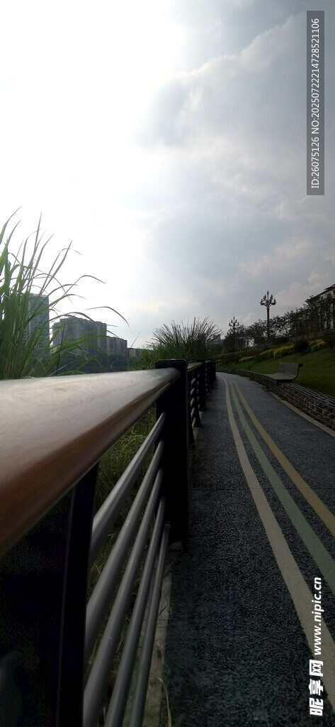雨中漫步的骑行步道风景