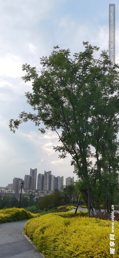 城市中繁花绿树的美景