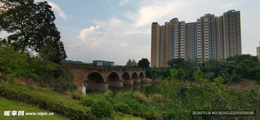 城郊风景中的桥与高楼