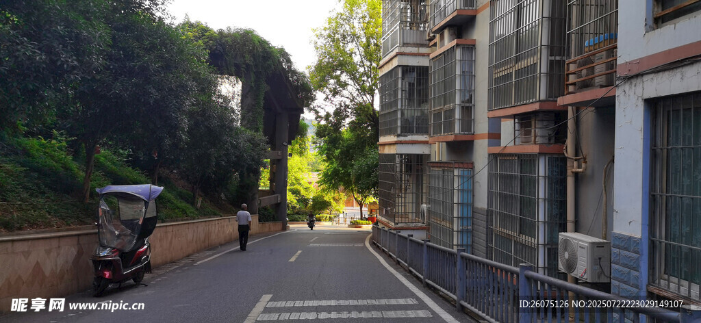 街道旁的建筑与绿植景观