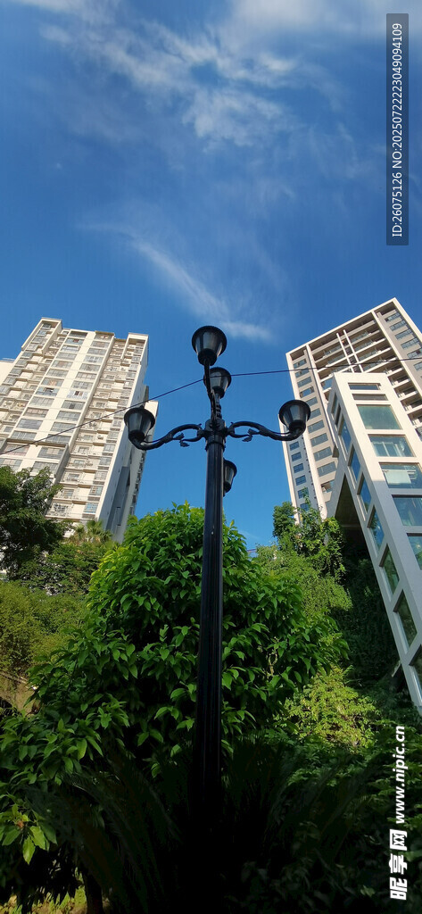 城市绿植间的高楼景观
