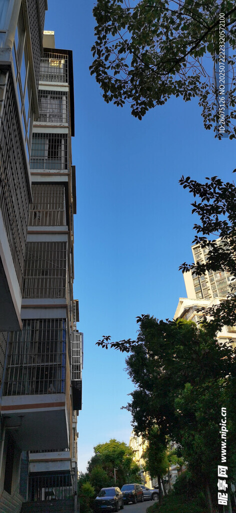 高楼旁的绿树蓝天