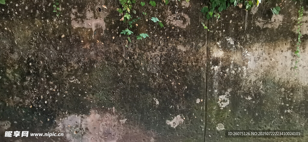 潮湿墙角的斑驳景象