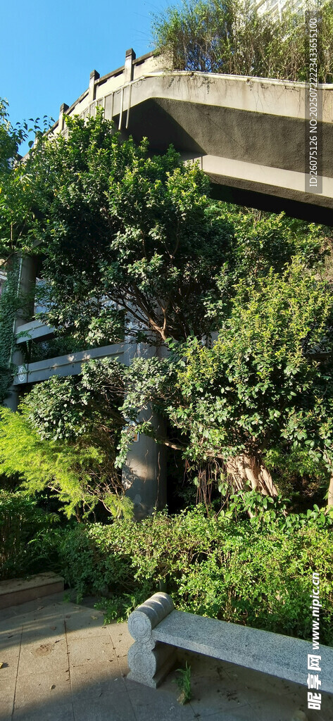繁茂绿植环绕的户外景致