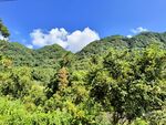 青山绿树间的蓝天美景