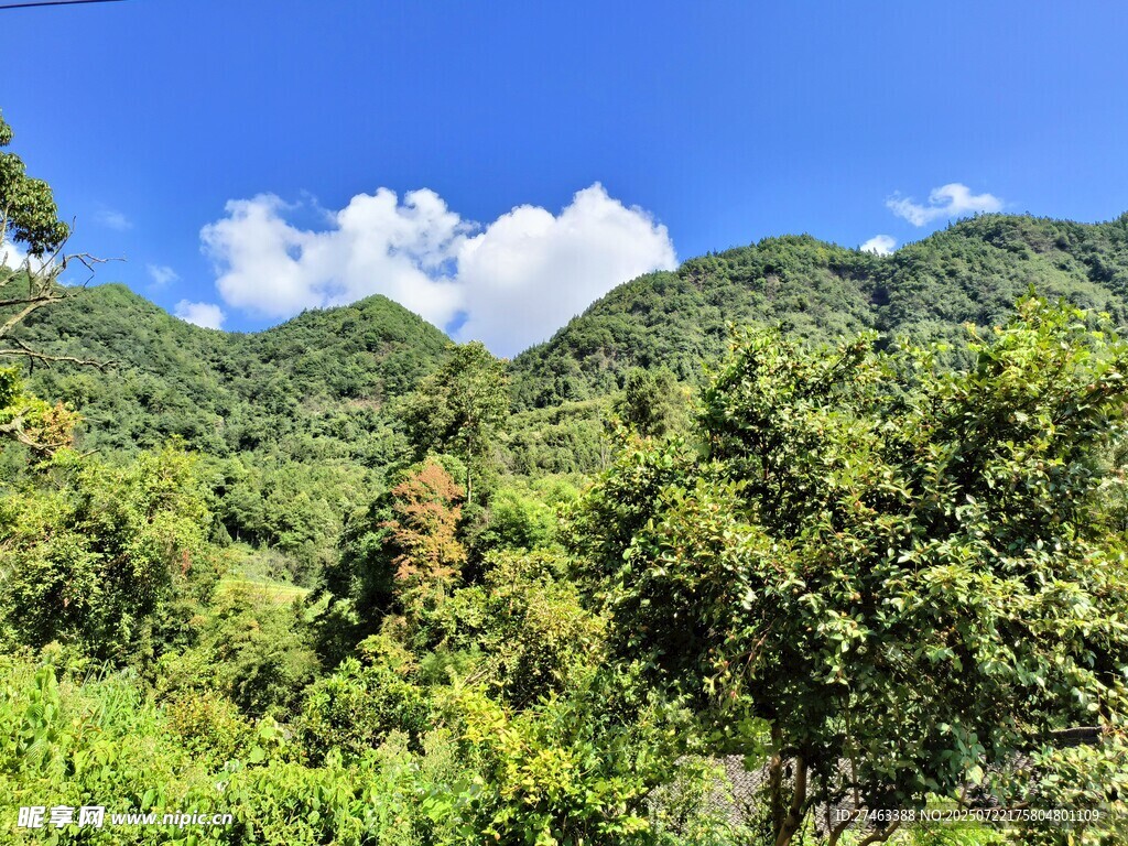 青山绿树间的蓝天美景
