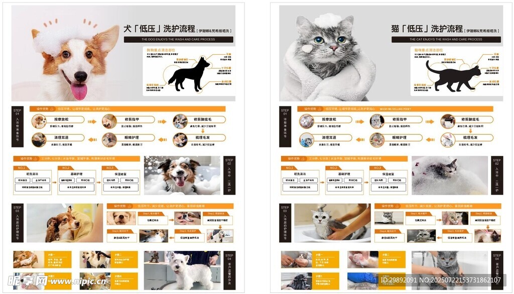 猫狗洗护流程
