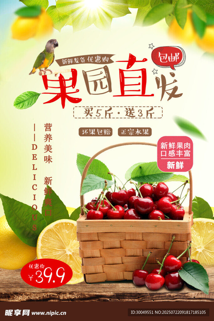 樱桃海报