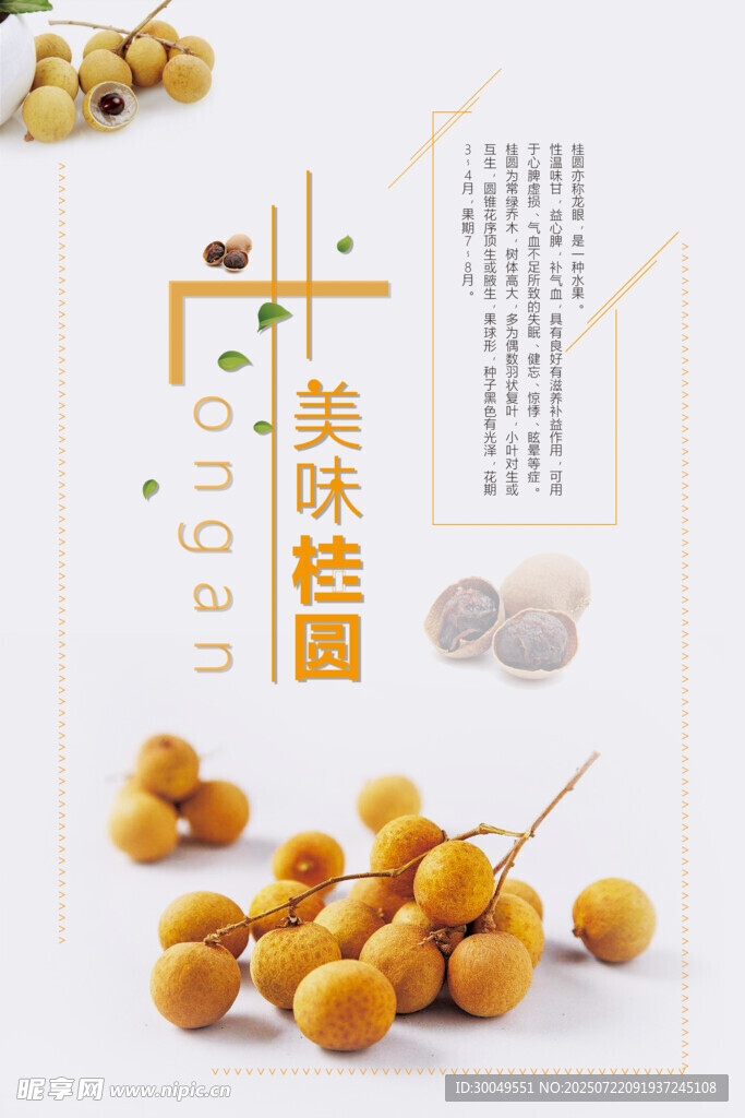 桂圆海报