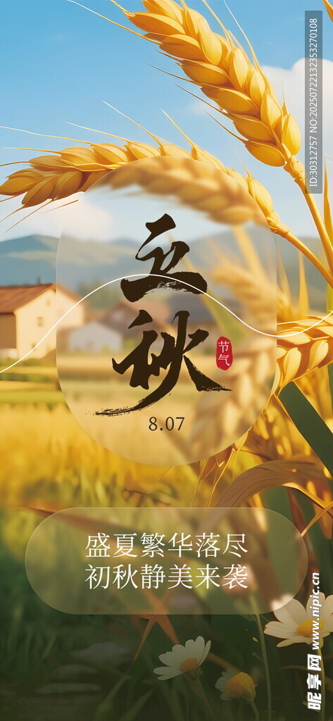 金秋麦田诗意田园风光