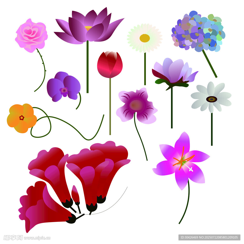 花朵矢量