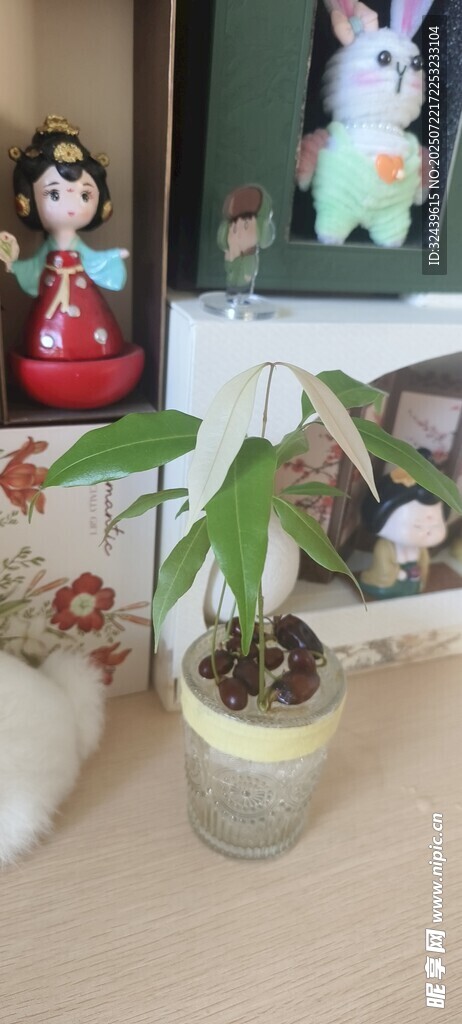 桌上绿植与可爱摆件