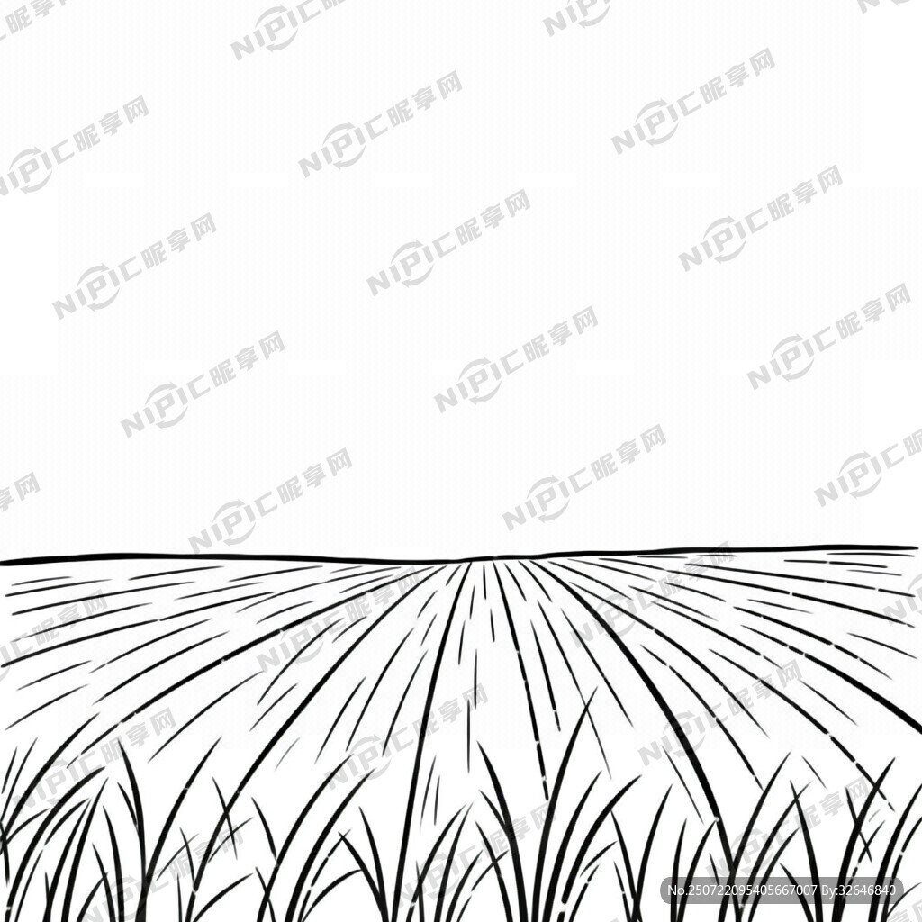 稻田 线条 简约 黑白