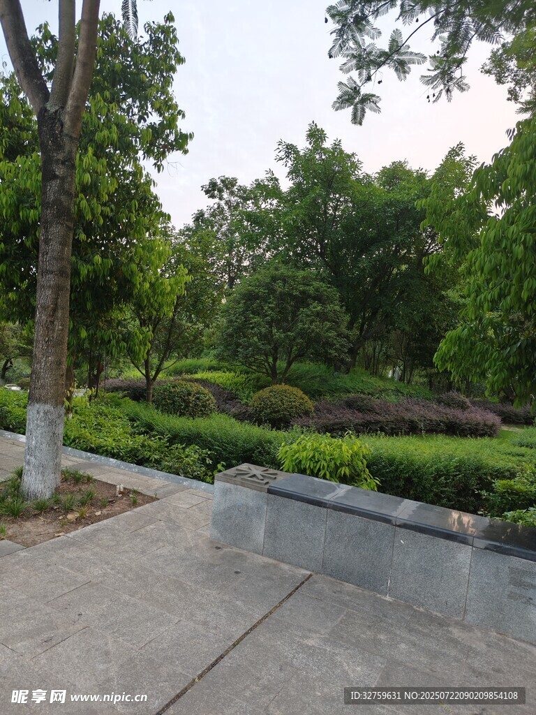 城市中的静谧绿植景观