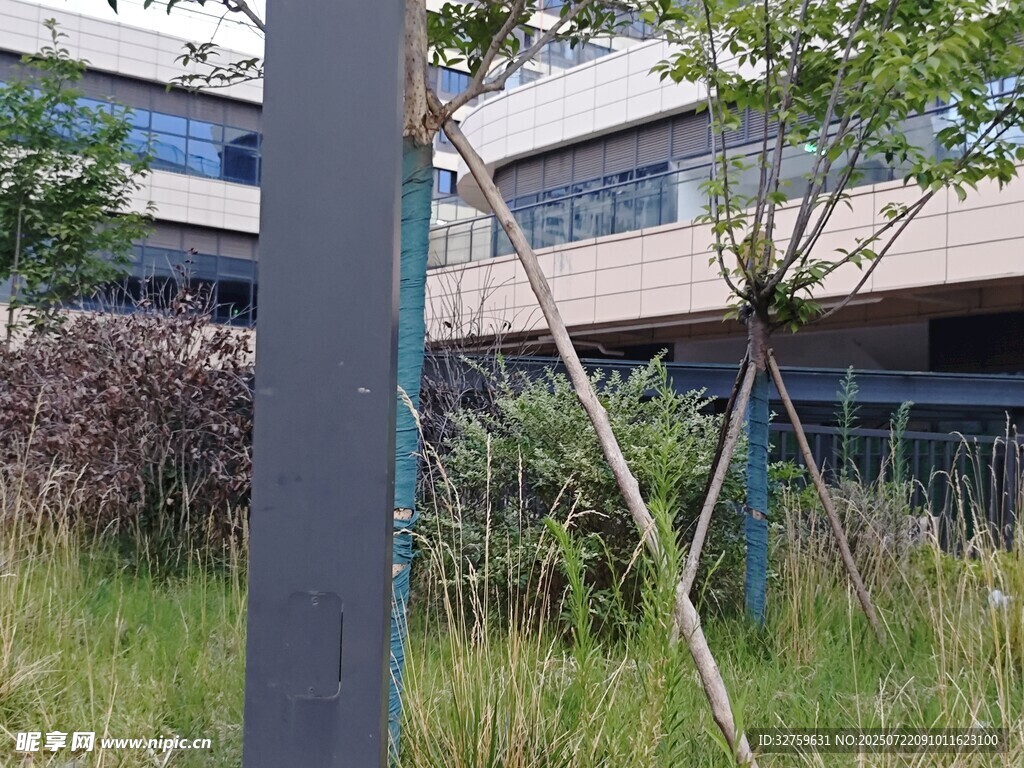 户外建筑旁的绿植与支架