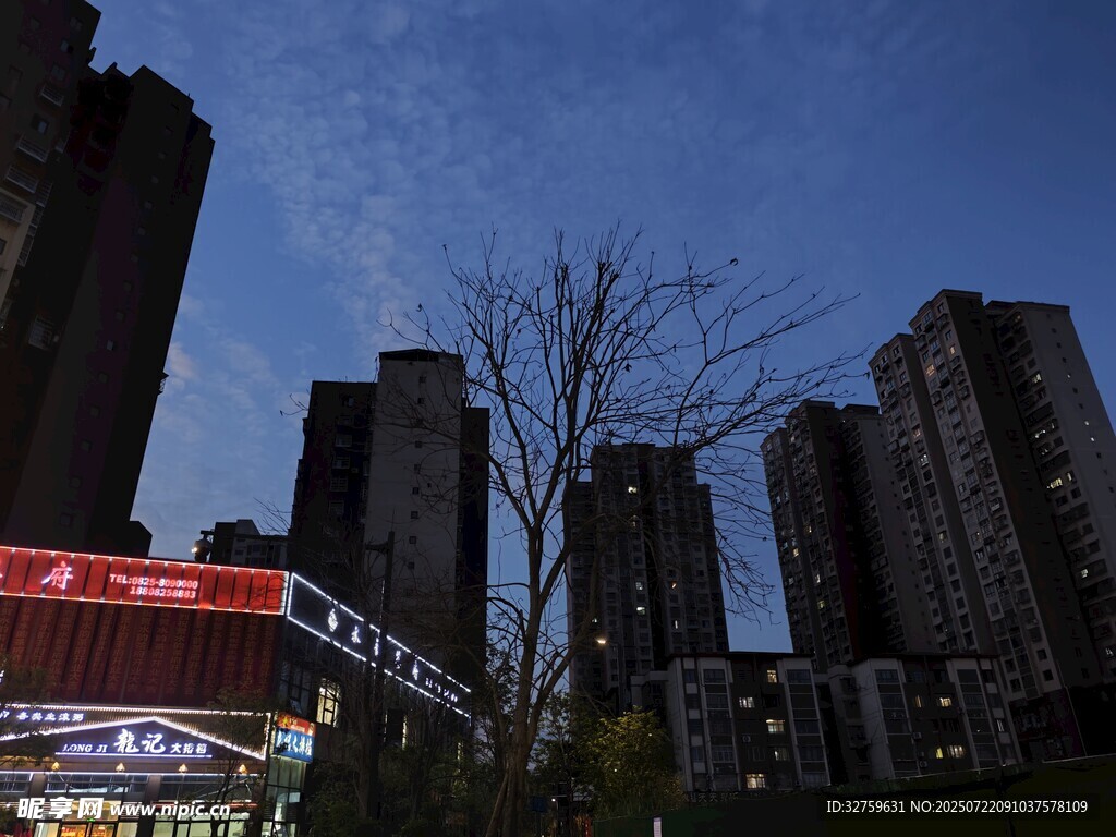 城市夜景中的高楼与店铺