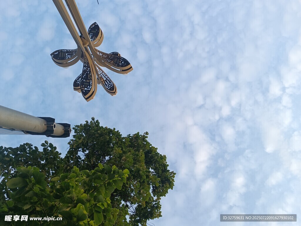 仰视路灯与绿树