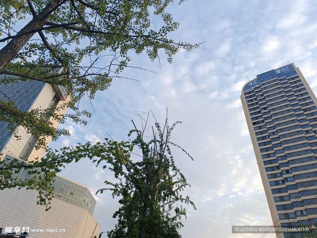 城市高楼与绿植景观