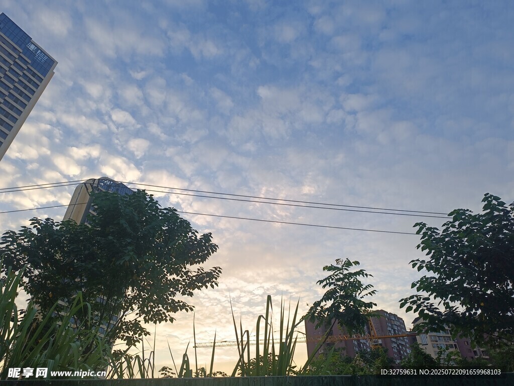 城市天际线与绿植景观