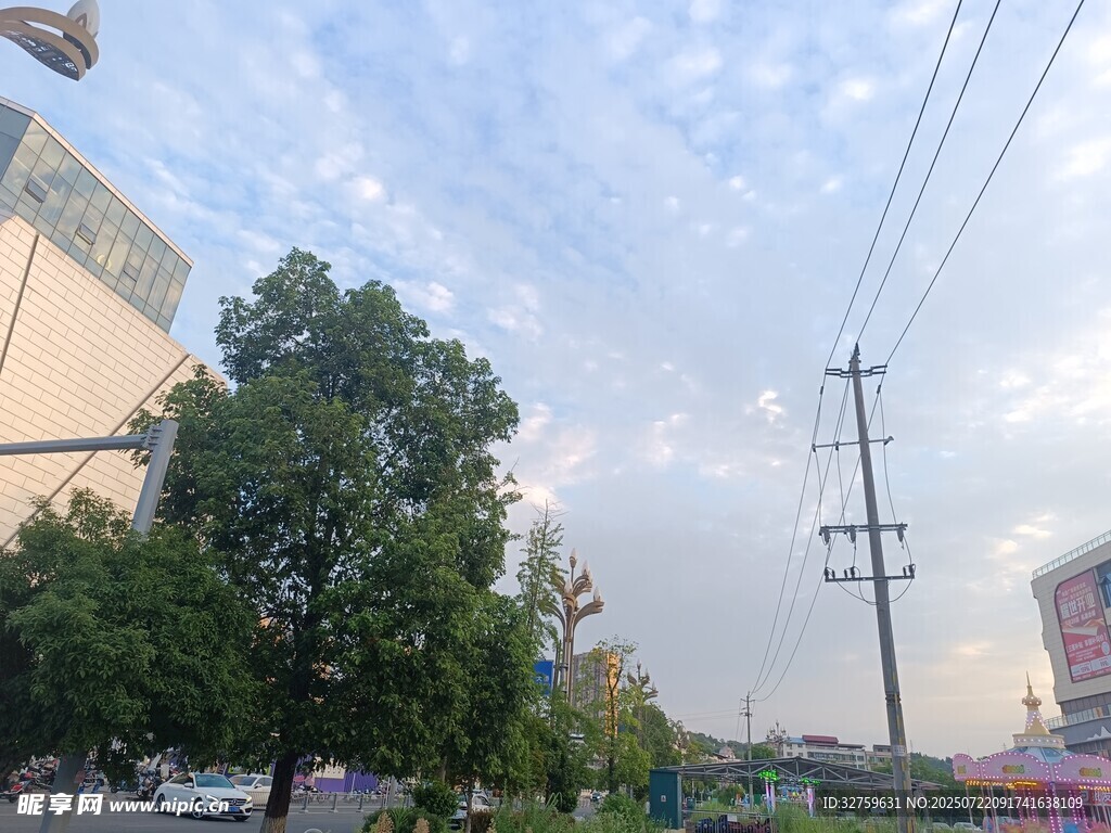 城市街道旁的绿树与电线