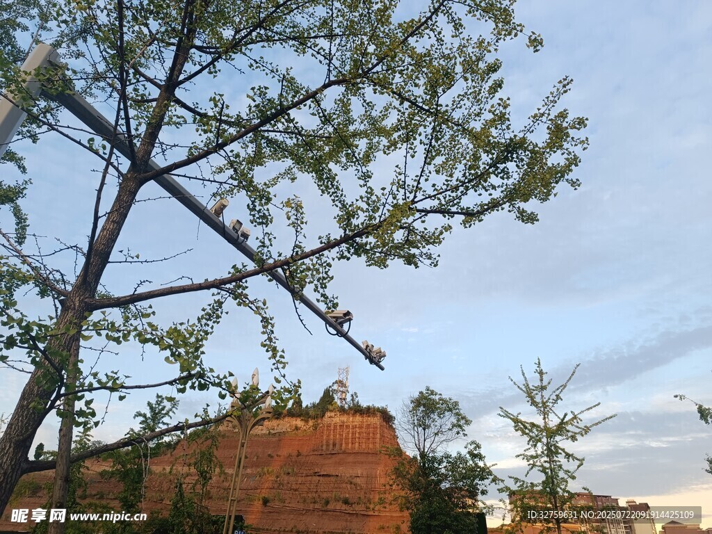 蓝天绿树旁的红土崖壁