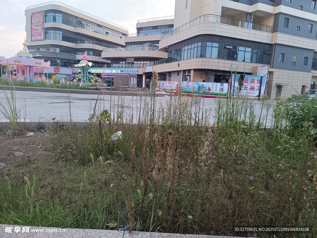 城市建筑旁的杂草景观