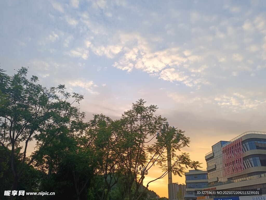 夕阳下的树木与建筑