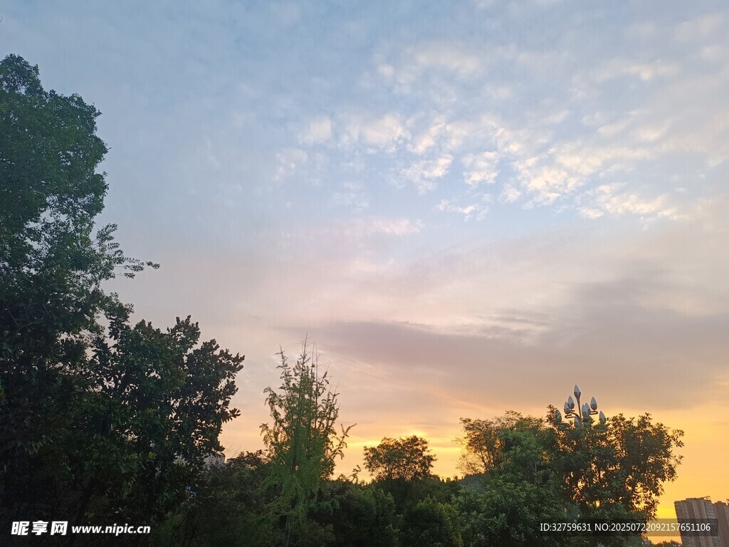 黄昏时分的树梢与天空