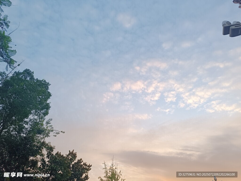 黄昏时分的天空与树木
