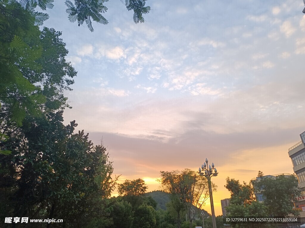 夕阳下的绿树与城市天际