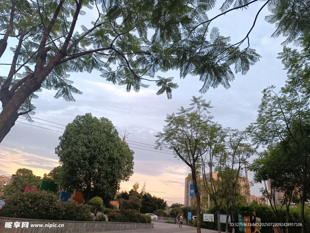 黄昏下的静谧园林景观