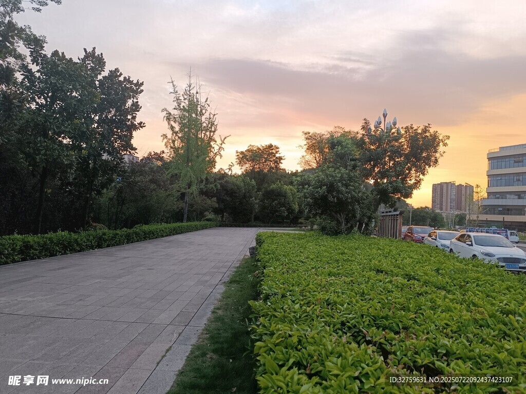 夕阳下的林荫小道