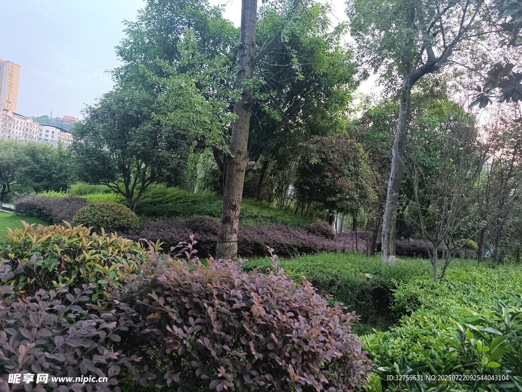 城市中的静谧绿植景观